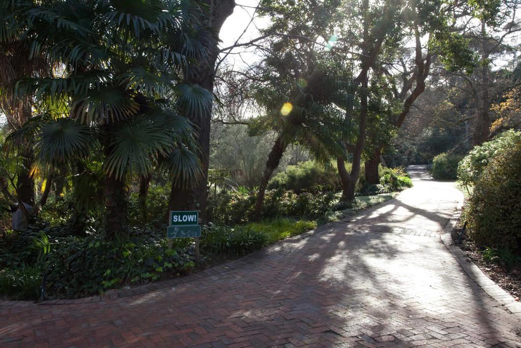 Viettz Suite Stellenbosch Luaran gambar